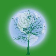 Vector silhouette of the globe N3