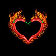 Vector red chili peppers in flaming heart on black