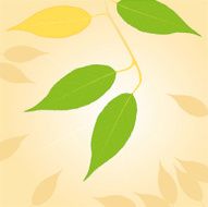 Summer leaves N2