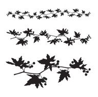 wild vine - vector