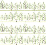 forest background N12