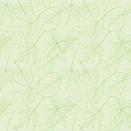 Leaves Pattern N42