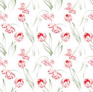 Tulip seamless pattern N6