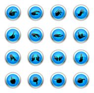 Blue Icons - Hands &amp; Fingers N2