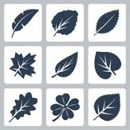 Vector tree leaves icons set