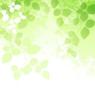 Spring background N78