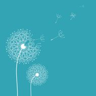 Dandelion in the wind background