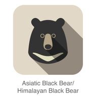 Asiatic black bear face flat icon design Animal icons series N2