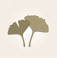 Retro hand drawn Gingko leaves isolated on brown background