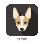 Rat terrier dog face flat icon series N2