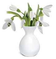 Bouquet of snowdrops in a vase Vector illustration