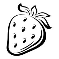 Contour drawing of strawberry Vector illustration