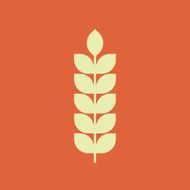 Wheat icon modern minimal flat design style vector illustration symbol