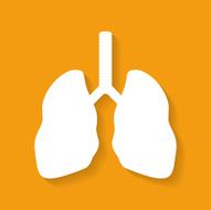 Icon of human lungs Flat style