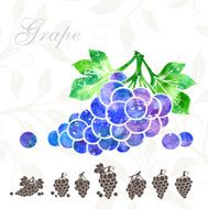 Grape icons set