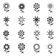 Flower Icons for Pattern with White Background