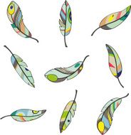 multicolored feathers set N2