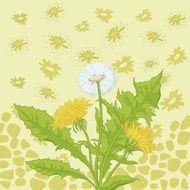 Flowers dandelion and abstract pattern