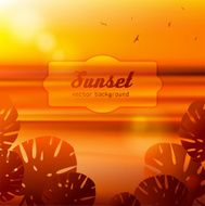 Sea view at sunset with big tropical leaves