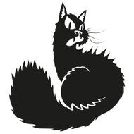 black angry cat N2