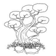 Beautiful bonsai tree isolated tattoo