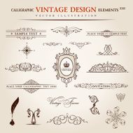 Vector set Calligraphic vintage elements and page decoration pr