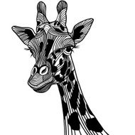 Giraffe head vector animal illustration for t-shirt Sketch tattoo design
