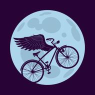 Flying in the night
