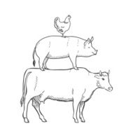 Chicken Pork Cow Farm Animals Vector N2