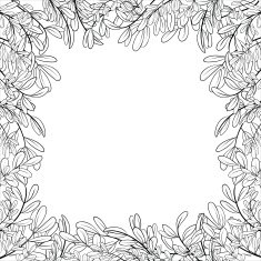 Background leaves contours
