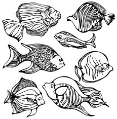 fish silhouettes N12