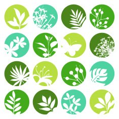 Flower and Leaf Icons