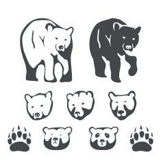 Set of bears for emblems and labels