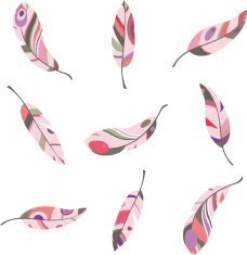 multicolored feathers on a white background