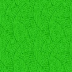 seamless background with fern leaves N2