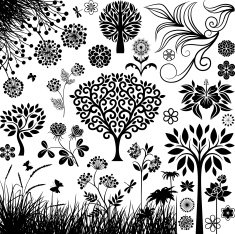 Botany collection N3