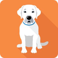 dog icon flat design N5
