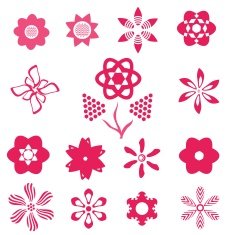 Pink Flowers N24