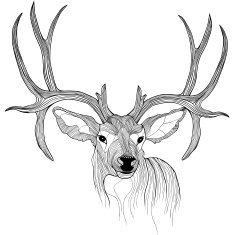 Deer head vector animal illustration for t-shirt
