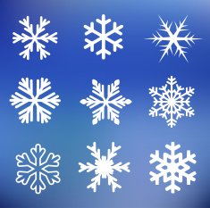 Snowflake icon set vector N2