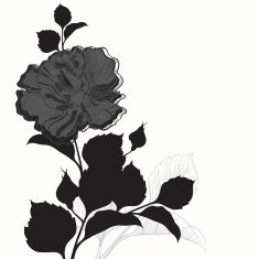 Rose Black and white greeting card or invitation N2