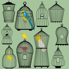 cage Silhouettes and birds - parrots canary