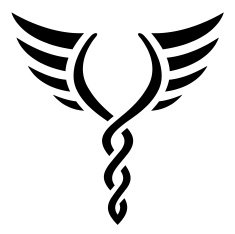 black bird icon N4