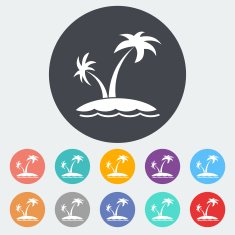 Palm Tree N62