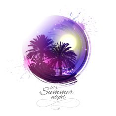 summer night N4