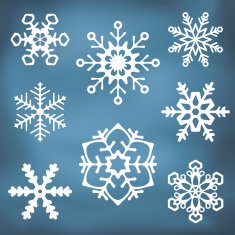 Ornate Snowflake silhouettes N2
