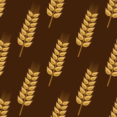 Seamless pattern of cereal golden wheat ears