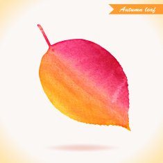 Watercolor colorful vector leaf Vector illustration N3
