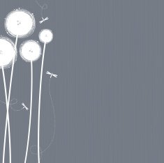 Pom Poms N2