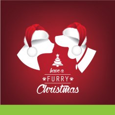 Furry Christmas Santa hat greeting card design